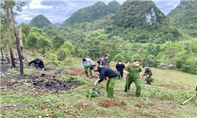 Tấn công, truy quét xóa bỏ cây thuốc phiện trên địa bàn huyện Bắc Sơn