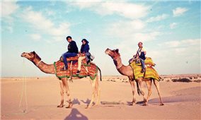 Khám phá sa mạc Thar trên lưng lạc đà