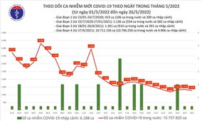 Ngày 26/5: Việt Nam có 1.275 ca mắc COVID-19 và 7.223 ca khỏi bệnh