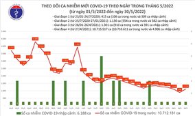 Ngày 30/5: Việt Nam có 1.118 ca mắc COVID-19 và 8.189 ca khỏi bệnh