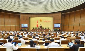 Sửa đổi, bổ sung Luật Sở hữu trí tuệ để phù hợp với thực tiễn của Việt Nam