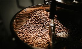 Giá cà phê hôm nay 2/6: Dao động khoảng 42.500 - 43.100 đồng/kg