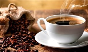 Giá cà phê hôm nay 6/6: Dao động khoảng 42.500 - 43.100 đồng/kg