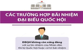 Các trường hợp bãi nhiệm đại biểu Quốc hội