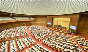 Quốc hội tiến hành Phiên họp chất vấn và trả lời chất vấn lĩnh vực nông nghiệp và phát triển nông thôn