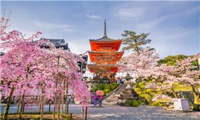 Nhật Bản mở cửa đón khách du lịch sau 2 năm