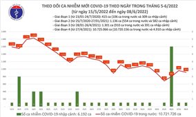 Ngày 8/6: Việt Nam có 913 ca mắc COVID-19 và 8.363 ca khỏi bệnh