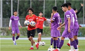 Tương lai bóng đá Việt Nam ngày càng trẻ