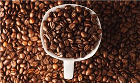 Giá cà phê hôm nay 14/6: Giảm nhẹ trên thị trường trong nước và thế giới