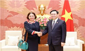 Chủ tịch Quốc hội Vương Đình Huệ đã tiếp Đại sứ Australia tại Việt Nam