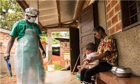 WHO đánh giá một trong những nguy cơ lây lan bệnh đậu mùa khỉ