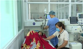 Gia Lai: Dịch sốt xuất huyết bùng phát mạnh tại nhiều địa phương