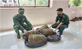 Bộ đội Biên phòng An Giang: Thu giữ hơn 18 kg cần sa nhập lậu qua biên giới
