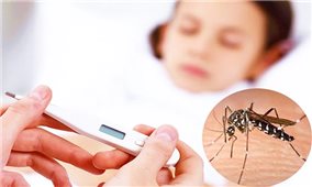 Bộ Y tế: Không để dịch sốt xuất huyết bùng phát
