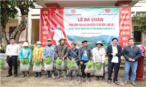 Tu Mơ Rông (Kon Tum): Phát động trồng rừng năm 2022