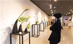 Triển lãm khám phá vẻ đẹp của hoa đạo Ikebana Nhật Bản