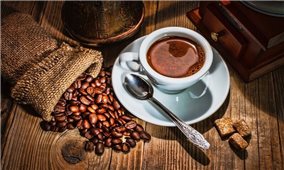 Giá cà phê hôm nay 6/7: Thị trường cà phê trong nước giảm mạnh