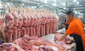 Phó Thủ tướng yêu cầu thực hiện ngay biện pháp bình ổn giá thịt lợn