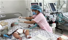 Đắk Lắk: Ghi nhận 1 bệnh nhi tử vong do sốt xuất huyết