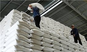 Xuất cấp hơn 432 tấn gạo hỗ trợ tỉnh Bình Phước