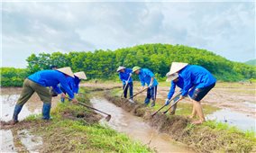 Quảng Ninh: Ngày cao điểm tình nguyện chung tay xây dựng nông thôn mới