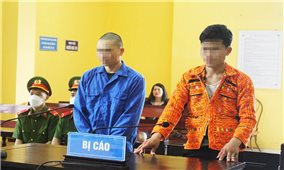 Lạng Sơn: Hai anh em ruột nhận án tù vì hủy hoại rừng