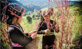 Nét đẹp trong đời sống văn hóa của dân tộc Cống ở Lai Châu