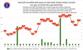 Ngày 8/8: Việt Nam có 1.705 ca mắc COVID-19 và 9.223 ca khỏi bệnh