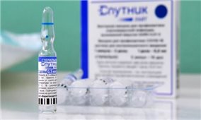 Vaccine xịt mũi của Nga chống lại tất cả các chủng virus SARS-CoV-2