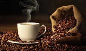 Giá cà phê hôm nay 16/9: Cà phê Arabica tăng trở lại