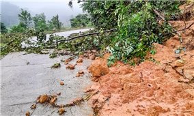 Bình Định: Mưa lớn gây ngập lụt, sạt lở nhiều điểm ở các huyện miền núi