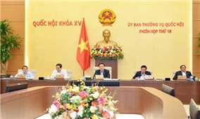 Tiếp tục tập trung nguồn lực triển khai một số cơ chế, chính sách đặc thù đối với Hà Nội