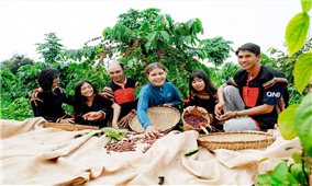 Đắk Lắk: Khởi động hoạt động quảng bá Lễ hội Cà phê Buôn Ma Thuột