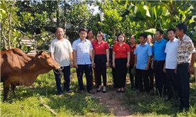 Huyện Phú Bình (Thái Nguyên): Hiệu quả từ công tác giảm nghèo bền vững