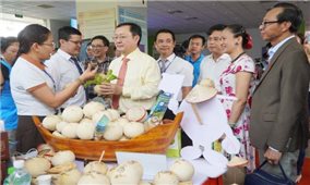 Khai mạc Hội chợ Nông nghiệp quốc tế Việt Nam năm 2022