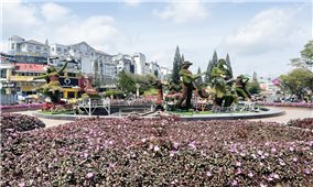 Festival hoa Đà Lạt năm 2022 với 9 chương trình chính