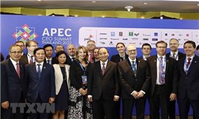 Chủ tịch nước dự tọa đàm Cấp cao với Liên minh doanh nghiệp Hoa Kỳ-APEC