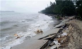 Bình Thuận chủ động ứng phó với gió mạnh trên biển