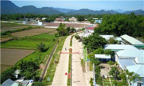 Quảng Nam: Hợp tác xã tham gia xây dựng nông thôn mới