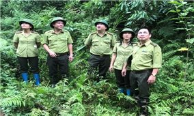 Kiểm lâm Thái Nguyên: Đẩy mạnh công tác trồng rừng