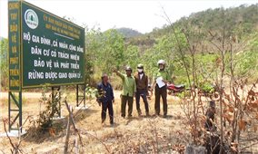 Chư Pưh (Gia Lai): Tổ cộng đồng làng đoàn kết bảo vệ rừng giáp ranh
