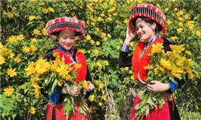 Lâm Hà (Lâm Đồng): Sắc hoa trên quê mới