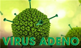 Bộ Y tế ban hành hướng dẫn chẩn đoán điều trị, phòng bệnh do virus Adeno