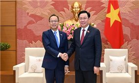 Chủ tịch Quốc hội Vương Đình Huệ tiếp Đại sứ Vương quốc Campuchia Chay Navuth
