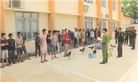 Đắk Lắk: Triệt phá trường đá gà, bắt giữ 34 đối tượng