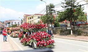 Sa Pa (Lào Cai): Rực rỡ Lễ hội hoa hồng