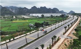 Quảng Ninh: Khánh thành tuyến đường bao biển đẹp nhất Việt Nam