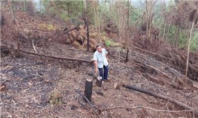 Thanh Hóa: Kiểm điểm các đơn vị để xảy ra cháy rừng ở Thanh Sơn