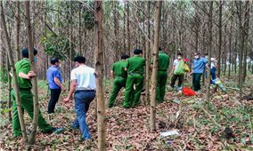 Quảng Trị: Phát hiện nữ Cựu chiến binh tử vong trong rừng tràm