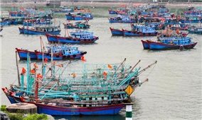 Quảng Ninh: Gia cố lồng bè và đưa người từ các khu nuôi trồng thủy sản lên bờ trước 16h ngày 17/7